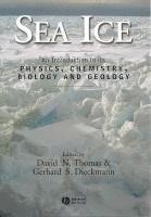 Sea Ice 1