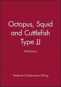 bokomslag Octopus, Squid and Cuttlefish