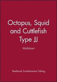 bokomslag Octopus, Squid and Cuttlefish: Type Jj Wallchart