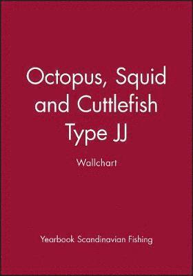 Octopus, Squid and Cuttlefish 1