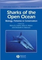 bokomslag Sharks of the Open Ocean