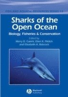 bokomslag Sharks of the Open Ocean