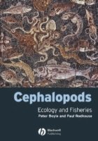 Peter Boyle, Paul Rodhouse - Cephalopods, Inbunden