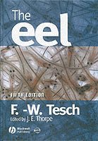 The Eel 1