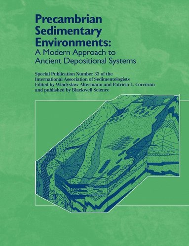 bokomslag Precambrian Sedimentary Environments