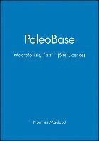 bokomslag Paleobase: Macrofossils