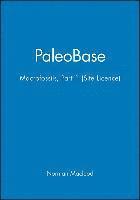 Paleobase: Macrofossils 1