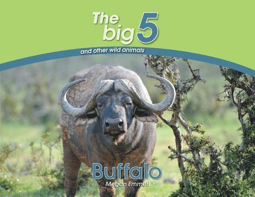 Buffalo 1