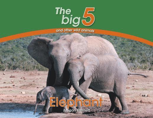 Megan Emmett - Elephant, Häftad