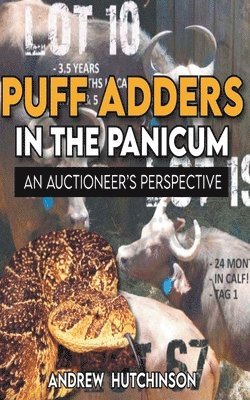 Puff Adders in the Panicum 1