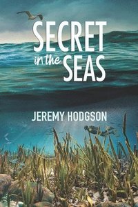 bokomslag Secret in the Seas