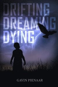 bokomslag Drifting Dreaming Dying