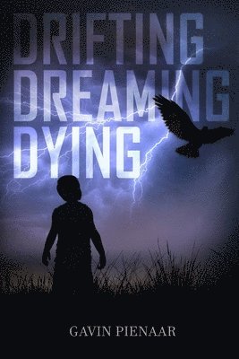 Gavin Pienaar, Jonathan Amid - Drifting Dreaming Dying, Häftad