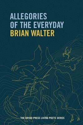 bokomslag Allegories of the Everyday