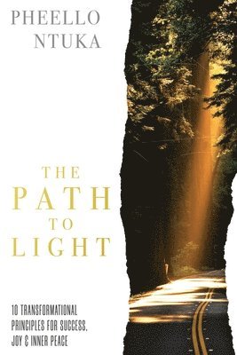 bokomslag The Path To Light: 10 Transformational Principles For Success, Joy & Inner Peace