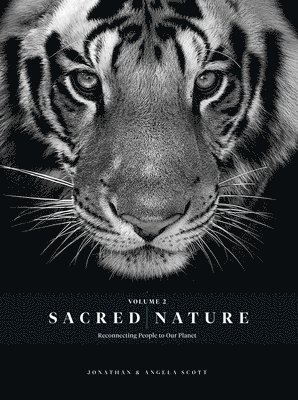 Sacred Nature 2