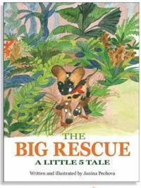bokomslag Big Rescue