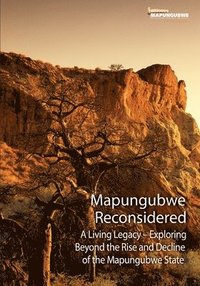 bokomslag Mapungubwe Reconsidered