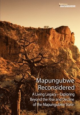 Mistra - Mapungubwe Reconsidered, Häftad