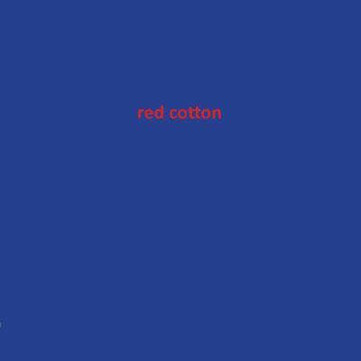 Vangile Gantsho - Red Cotton, Häftad