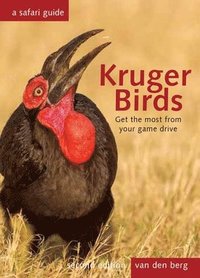 bokomslag Kruger Birds