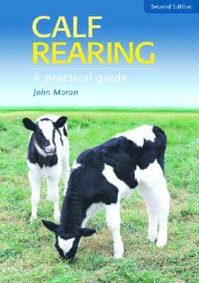 Calf Rearing