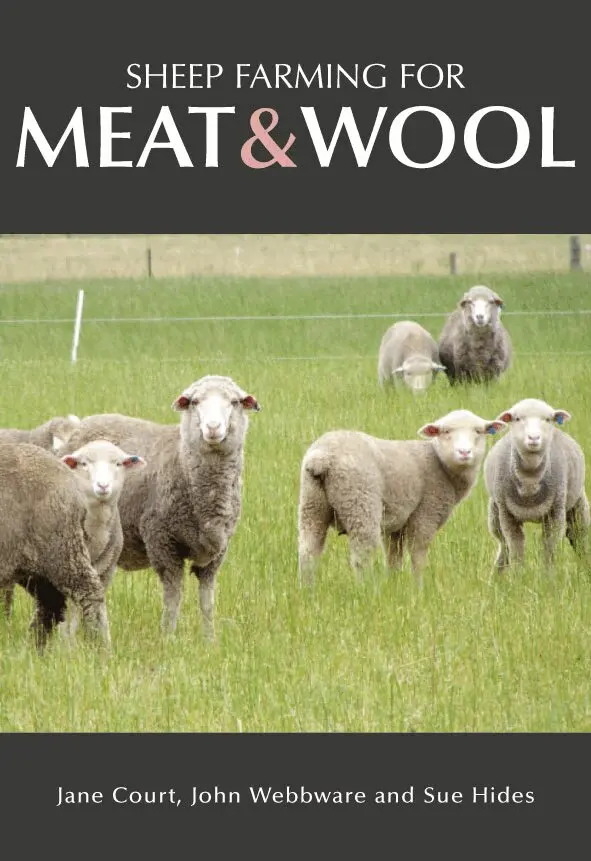 Jane Court, Sue Hides, John Webb-Ware - Sheep Farming for Meat and Wool, Häftad. Tillgänglighet: Lägg i varukorg