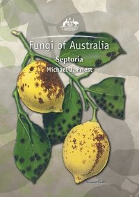 bokomslag Fungi of Australia: Septoria