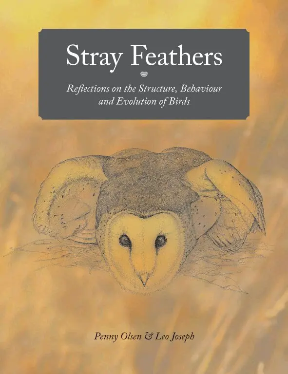 Penny Olsen, Leo Joseph - Stray Feathers, Häftad. Tillgänglighet: Lägg i varukorg