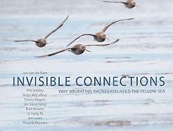 Invisible Connections