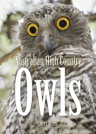 Jerry Olsen - Australian High Country Owls, Häftad