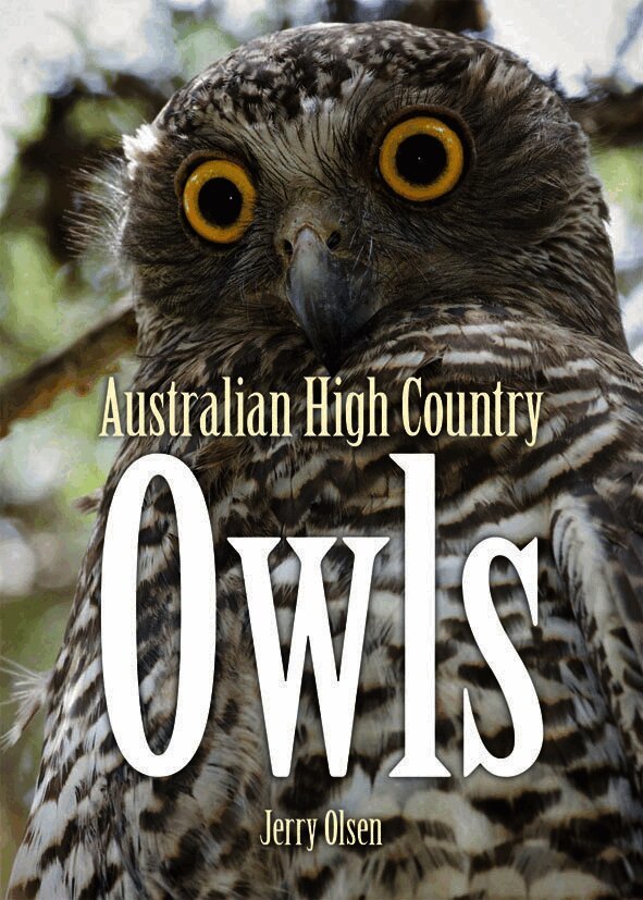 Australian High Country Owls