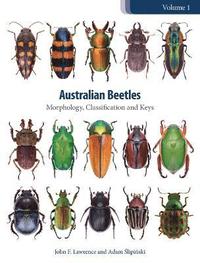 bokomslag Australian Beetles Volume 1