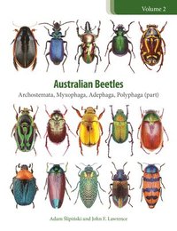 bokomslag Australian Beetles Volume 2