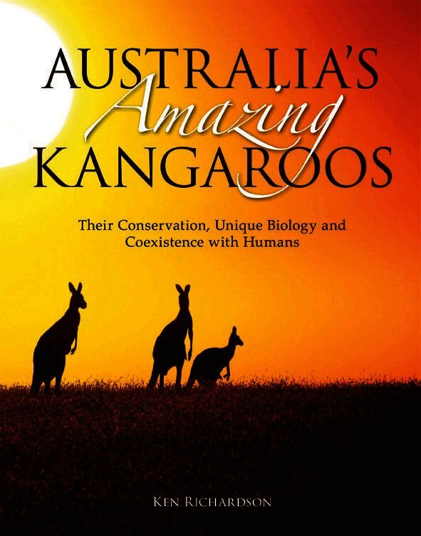 Australia's Amazing Kangaroos