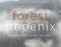 bokomslag Forest Phoenix