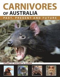 bokomslag Carnivores of Australia