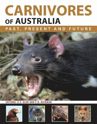 Carnivores of Australia
