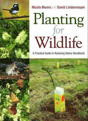 Nicola Munro, David Lindenmayer - Planting for Wildlife: A Practical Guide to Restoring Native Woodlands, Häftad