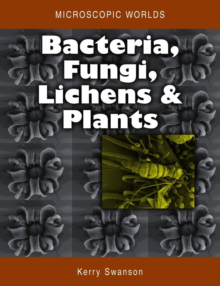 Microscopic Worlds Volume 3