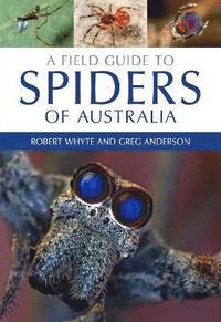 bokomslag A Field Guide to Spiders of Australia
