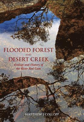 Flooded Forest and Desert Creek 1