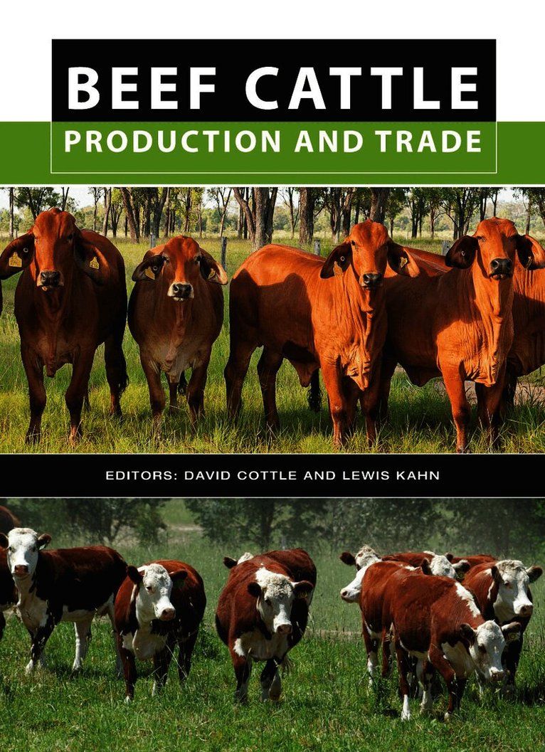 Beef Cattle Production and Trade