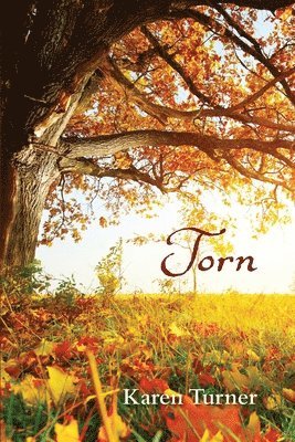 Torn 1