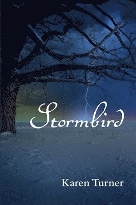 bokomslag Stormbird