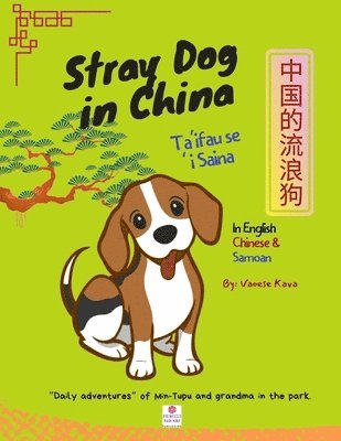 Stray Dog in China 1