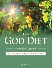 bokomslag The God Diet