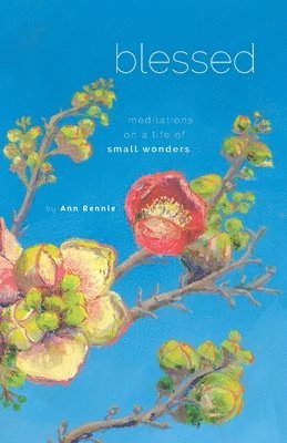 bokomslag Blessed: Meditations on a Life of Small Wonders