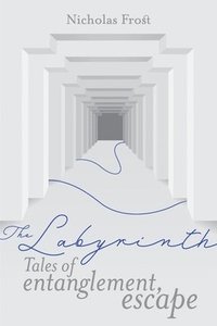 bokomslag Labyrinth