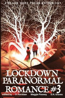 D Kershaw - LOCKDOWN paranormal Romance #3, Häftad